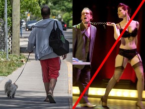 A visual primer on which creatures can be walked on a leash after curfew in Quebec.