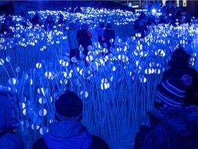 Montrealers braved the cold to walk through the art installation Entre les rangs at Place des Festivals on Saturday January 2, 2021. Thousands of white disks reflect various projected colours evoking Quebec's agricultural history. Dave Sidaway / Montreal Gazette ORG XMIT: 65550