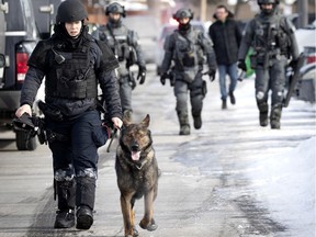 An SPVM dog handler leads SWAT team members as they return to their armoured truck after an intervention in Dollard-des-Ormeaux Feb. 13, 2021.