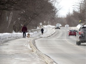 A man walks his dogs on the Elm Ave. bike path, which is being cleared for cyclists this winter as a pilot project by Beaconsfield.