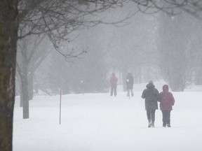 People make their way along the path at Maisonneuve park during afternoon snowfall on Feb. 22, 2021.