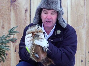 Fred la Marmotte on what would be his last Groundhog Day in 2021.