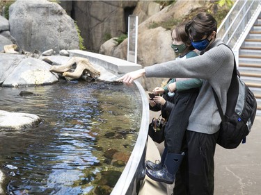 Dax Riviere is helped up by Liam Sonmor for a better look at tidal shore as they walk along the renovated St-Laurent estuary segment of the Montreal Biodome on Thursday, Feb. 25, 2021 .