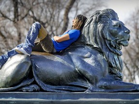 Jon Pointer takes in the sun on top of a lion at the base of the Sir George-Étienne Cartier monument on Park Ave. on March 23, 2021.