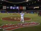 Montreal Expos: Baseball stadium project needs public consultation