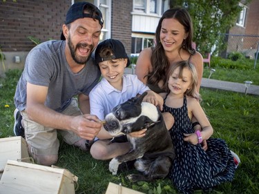 Daniel Landrigan gives a biscuit to the family dog Cash with son Theo, daughter Cassie and wife Michelle Ford at their home in Lachine.