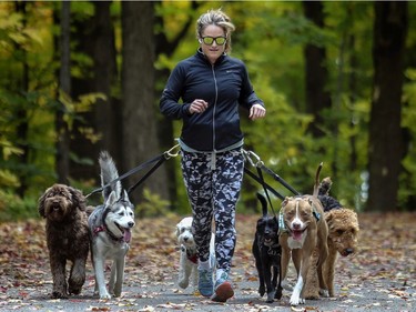 Dog runner Paula Malolepszy runs with her clients on Mount Royal.