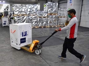 An airport staff unload carton boxes of Covishield vaccine developed by Pune based Serum Institute of India (SII) at the Mumbai airport on February 24, 2021, as part of the Covax scheme, which aims to procure and distribute inoculations fairly among all nations.