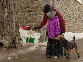 A woman shows the famous "cannonball tree" to a child on St-Louis St. in Quebec City March 14, 2021. The tree is slated to be taken down as of Tuesday, March 16, 2021.