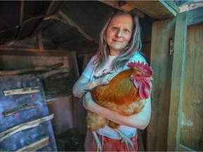 Barbara Cheetham with her rooster Nugget in the yard of her home in Pointe-Claire. The city of Pointe-Claire is making her get rid of her rooster.