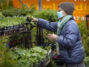 Francine looks for plants at Angel Jardins at the Atwater Market in Montreal Monday, April 26, 2021.