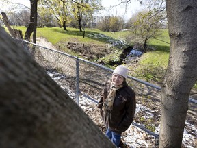 "One of the rights we're asking for is the right to exist — that's the very first one — and then the right to flow and to flow without pollution," says Louise Legault on behalf of what's still visible of the St. Pierre River, seen behind her on the grounds of the Meadowbrook Golf Course.