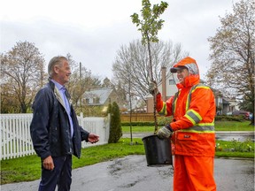 Tim Jensen of the Pointe-Claire public works horticulture department delivers a tree to resident Ted Brain outside his home last Friday. The city had offered free trees to homeowners on a first-come reservation basis.