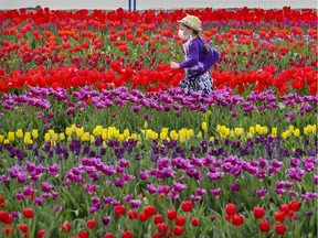 Fleur-Ange Glenn runs through the tulip field at Tulips.ca's U-Pick tulip farm in Boucherville, east of Montreal Friday, May 7, 2021.
