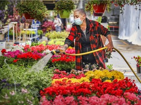 Ashley Jones waters flowers at Angel Jardins in Atwater Market in Montreal Tuesday May 11, 2021.