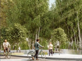 After an international competition to choose a design winner, a disused parking lot at the north end of the Quartier des Spectacles will be turned into an urban forest.