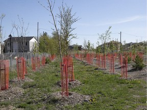 The contested municipal evaluations centre around lots in a field in Pointe-aux-Trembles sandwiched between the Pointe-aux-Prairies Nature Park and a housing development at Sherbrooke St. E. and Yves-Thériault Ave.
