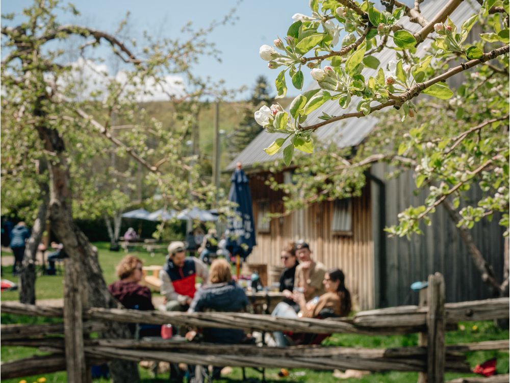 A cider house north of Montreal is hosting orchard BBQs every weekend