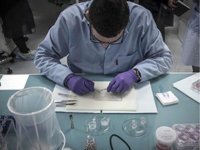 Technicians and researchers grow cells to produce human tissue at a laboratory in France in 2016.