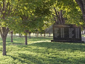 Artist's conception of Remembrance Grove, a new project by Notre-Dame-des-Neiges cemetery.