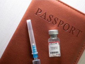 It could become necessary to use a vaccine passport to access non-essential services.
