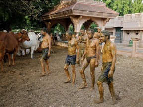 People walk after applying cow dung on their bodies during "cow dung therapy", believing it will boost their immunity to defend against the coronavirus disease (COVID-19) at the Shree Swaminarayan Gurukul Vishwavidya Pratishthanam Gaushala or cow shelter on the outskirts of Ahmedabad, India, May 9, 2021.