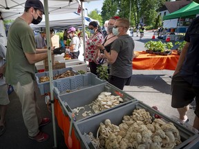 Andrew Priess, left, of Les Jardin Carya serves fresh organic vegetables at the Beaurepaire outdoor market, Friday, June 4. The market located at corner Beaconsfield Blvd. and Fieldfare Ave., in Beaconsfield will be open Fridays from 3 to 6 p.m. throughout the summer.