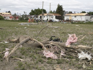 Debris of homes and broken tree limbs are scattered in the fields in Mascouche after a tornado touched down in the neighbourhood the night before.