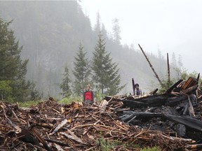Protesters stand on debris of a cutblock as Royal Canadian Mounted Police (RCMP) officers arrest those manning the Waterfall camp blockade against old growth timber logging in the Fairy Creek area of Vancouver Island, near Port Renfrew, British Columbia, on May 24, 2021.