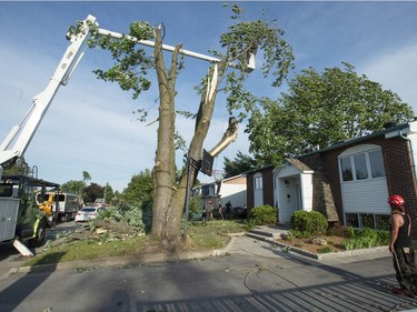 Workers cut down a damaged tree after a tornado touched down in Mascouche on Monday, June 21, 2021.