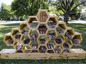 Created in collaboration with the Ecomuseum, the insect hotel is located on the green space outside the Beaconsfield library. An insect hotel is a structure that aims to accommodate several species of insects (bees, ladybugs, wasps and butterflies), which can be installed in ecosystems where pollination and biodiversity are sought.