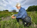 David Fletcher of the Green Coalition looks at a land marker on federally-owned land that supports a large population of monarch butterfly in part of the Technoparc Wetlands in St-Laurent borough.
