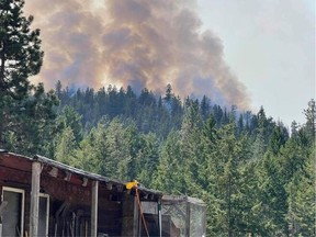 Smoke from the Nk'Mip Creek wildfire from the Little Oink Bank Pig Sanctuary in Oliver. The sanctuary started evacuating its animals July 19.