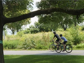 Cyclists ride by a re-naturalized garden in Montreal on Friday, July 23, 2021. Ecologists say natural yards have a number of benefits: increased biodiversity, food for birds and insects, less need for water and pesticides, and a reduction of the urban heat island effect.