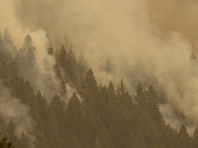 Smoke from the Caldor Fire shrouds vegetation near the town of Pollock Pines, California, on Aug. 18, 2021.