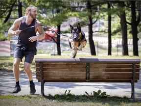 What does it take to get more Canadians moving? David Ross has Bear jump over park benches for exercise in Lafontaine Park.
