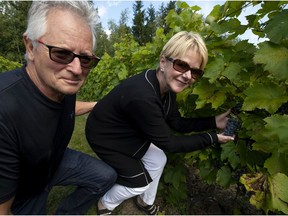 Serge Primi, left, and Christiane St-Onge are the owners of Vignoble Cote de Vaudreuil located in the off-island.
