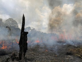 Smoke from a fire rises into the air as trees burn among vegetation in the Brazilian Amazon rainforest next to the Transamazonica national highway in Labrea, Amazonas state, Brazil, on Sept. 1, 2021.