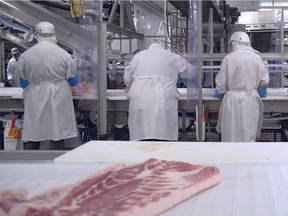 Olymel employees work in one of the company's Quebec hog-slaughtering plants in Yamachiche, Quebec in July 2020.