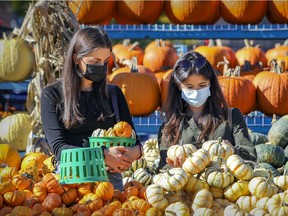 Catheryn Felton, left, and Stephanie Sidoti shop for gourds at the Conrad Pitre & Fils kiosk at Atwater Market in Montreal on Wednesday, Oct. 6, 2021.