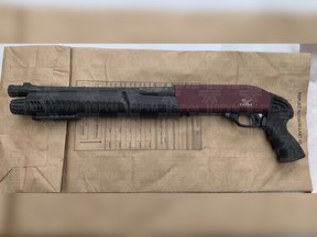 A 12-gauge shotgun was found while searching a car pulled over by Montreal police in a traffic stop.
