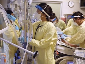 Teams in a crowded Calgary intensive care unit tend to a COVID-19 patient on a ventilator. Alberta Health reported the 49th COVID-19 death in Strathcona County on Monday, Oct. 18. As of Wednesday, Oct. 20, there were 145 active cases of the virus recorded in the county. 



Photo courtesy of ALBERTA HEALTH SERVICES