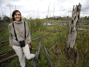 Preserving urban wetlands and green spaces like the Technoparc “is not just about saving the birds," says Katherine Collin, an avid birder and spokesperson for the conservation group TechnoparcOiseaux.