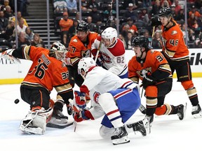 Jake Evans #71 of the Montreal Canadiens scores a goal past the defense of John Gibson #36 ,Derek Grant #38, Trevor Zegras #46 and Hampus Lindholm #47 of the Anaheim Ducks during the second  period at Honda Center on Oct. 31, 2021 in Anaheim, Calif.