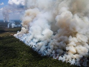 Smoke from burning vegetation rises in Brazilian Amazon rainforest near the Transamazonica national highway, in Humaita, Amazonas state, Brazil, on Sept. 8, 2021.