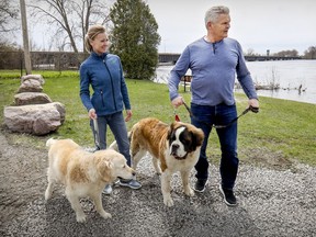 Former Montreal Canadien Chris Nilan and his girlfriend Jaime Holtz walk their dogs Adele and Bodhi, left, near their home in Terrasse-Vaudreuil, west of Montreal, on May 9, 2019.