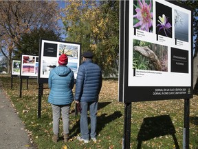 Svitlana and Vladimir Koretsky get a closer look at the outdoor photo exhibit at the Peace Park Arboretum adjacent to the Dorval Library.