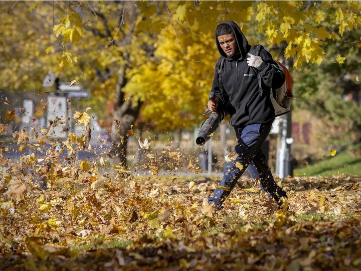  Lee Diaz of Lewis Landscaping clears the way with a leaf-blower at a condominium complex in Dorval.