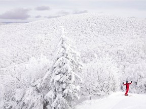A skier celebrates at Mont Sutton, known for the wooded trails that represent 45 per cent of its skiable terrain.