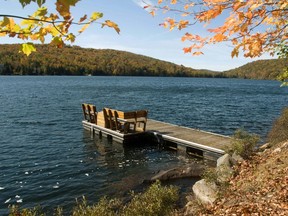 When gifting a cottage to a family member, the capital gain is triggered in the year of the ownership transfer.